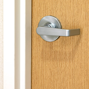 Commercial Interior door