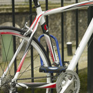 Image thumb of 8195EURDPROCOLB