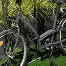 Image thumb of 8221EURDPRO